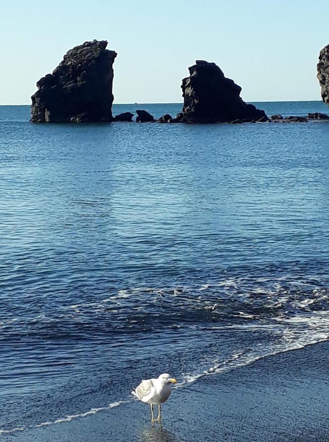 T2 Plage De La Conque 아그 외부 사진